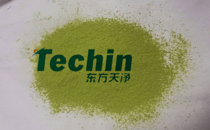 糟老头视频下载污污污後的植物葉片